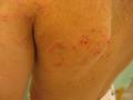 109_0980_a_M_120.jpg