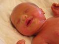 121_2199_a_V_600_M_120.jpg