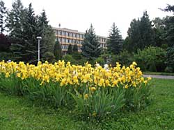 psychiatricka-klinika-01.jpg
