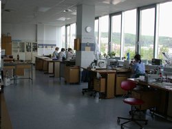 03.jpg