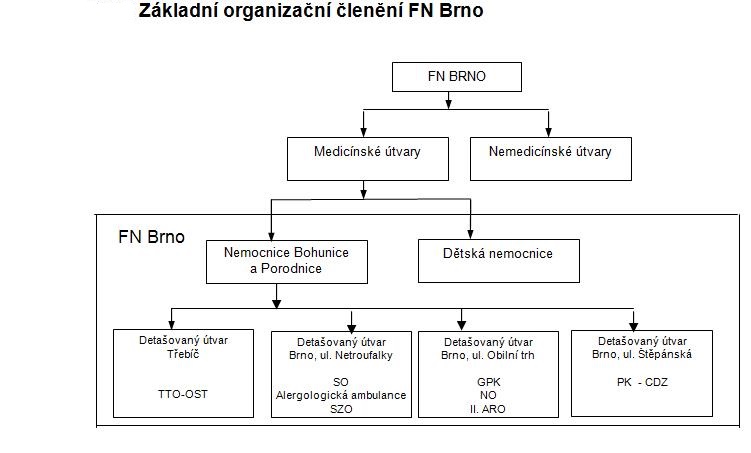 Základní organizační členění