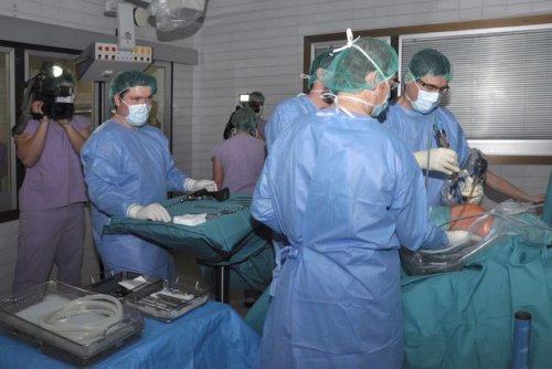 Bez bolesti a bez potíží I