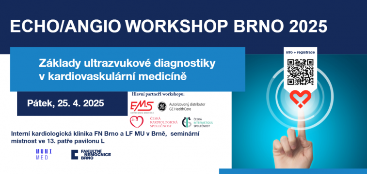 echo_angio_workshop_v2_preview