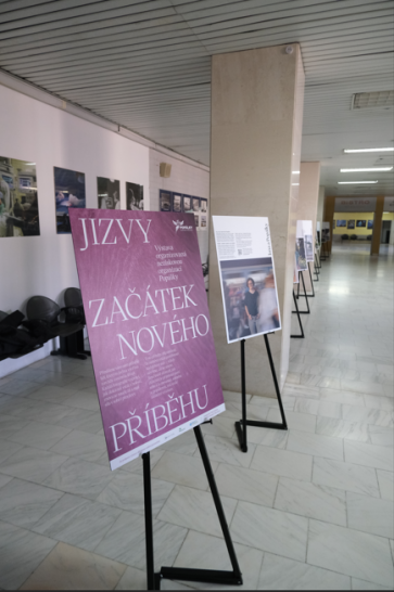 Výstava FN Brno - Popálky 01