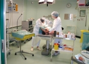 8-oper-sál21_a.jpg