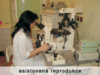 Asistovaná reprodukce.png